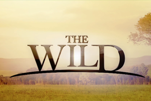 The Wild