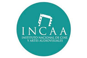 INCAA-AR-300