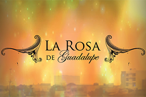 La Rosa de Guadalupe