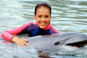 Flipper (1995)