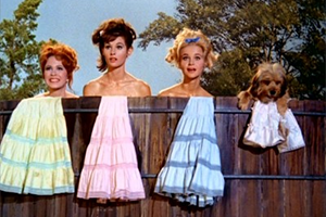 Petticoat Junction