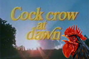 Cock crow at dawn